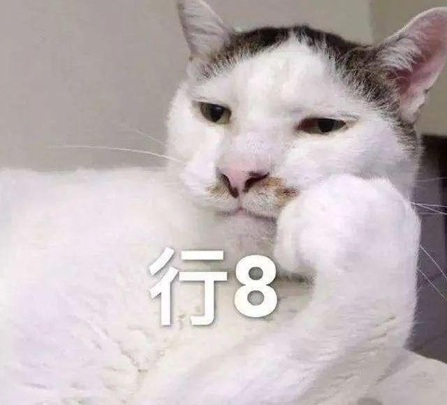 理想L9,理想汽车,蔚来,小鹏,极氪