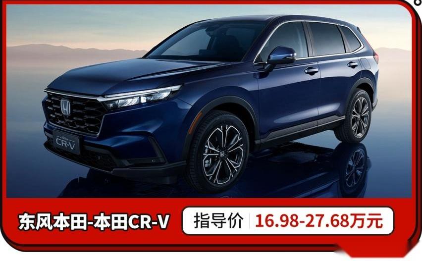 比亚迪,汉兰达,汉,特斯拉,本田