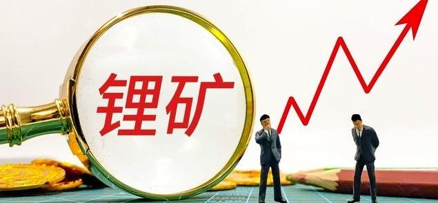 理想汽车,理想L9