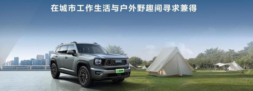 哈弗,哈弗大狗,比亚迪,长安,大众