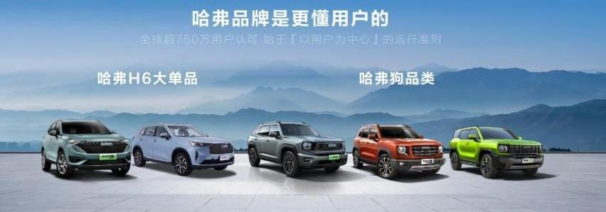 哈弗,哈弗大狗,比亚迪,长安,大众
