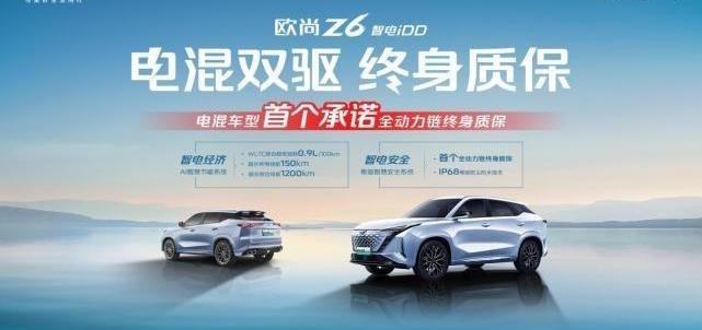 比亚迪,发现,鲸,特斯拉