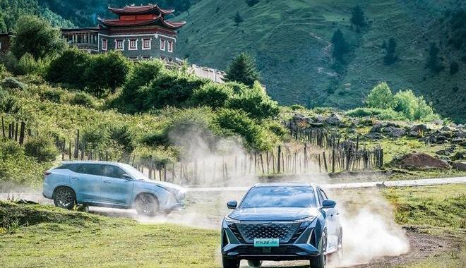鲸,DS,理念