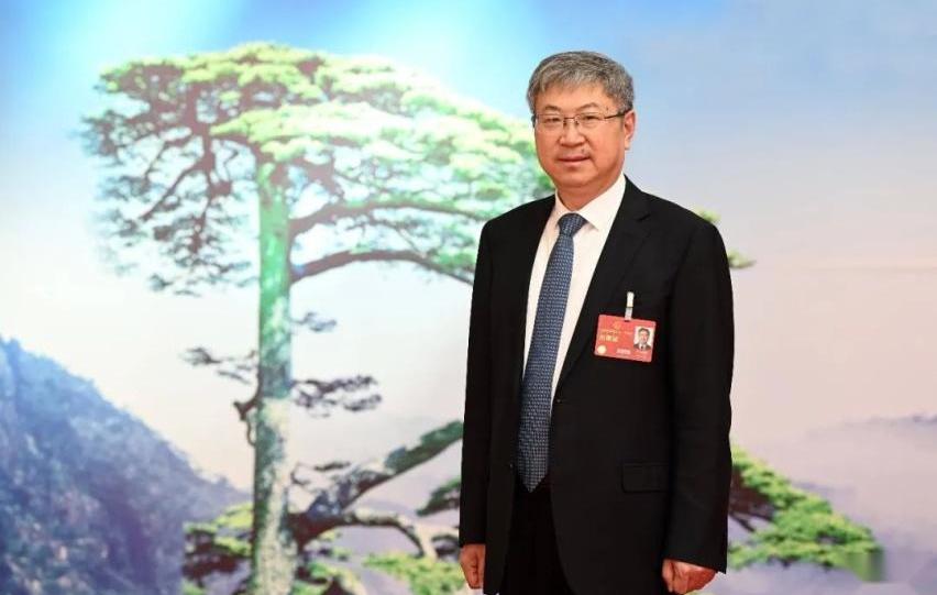 小鹏,奇瑞,长安,广汽集团,北京