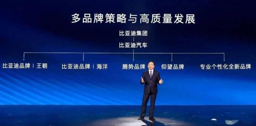 比亚迪,仰望,腾势,奔驰,特斯拉