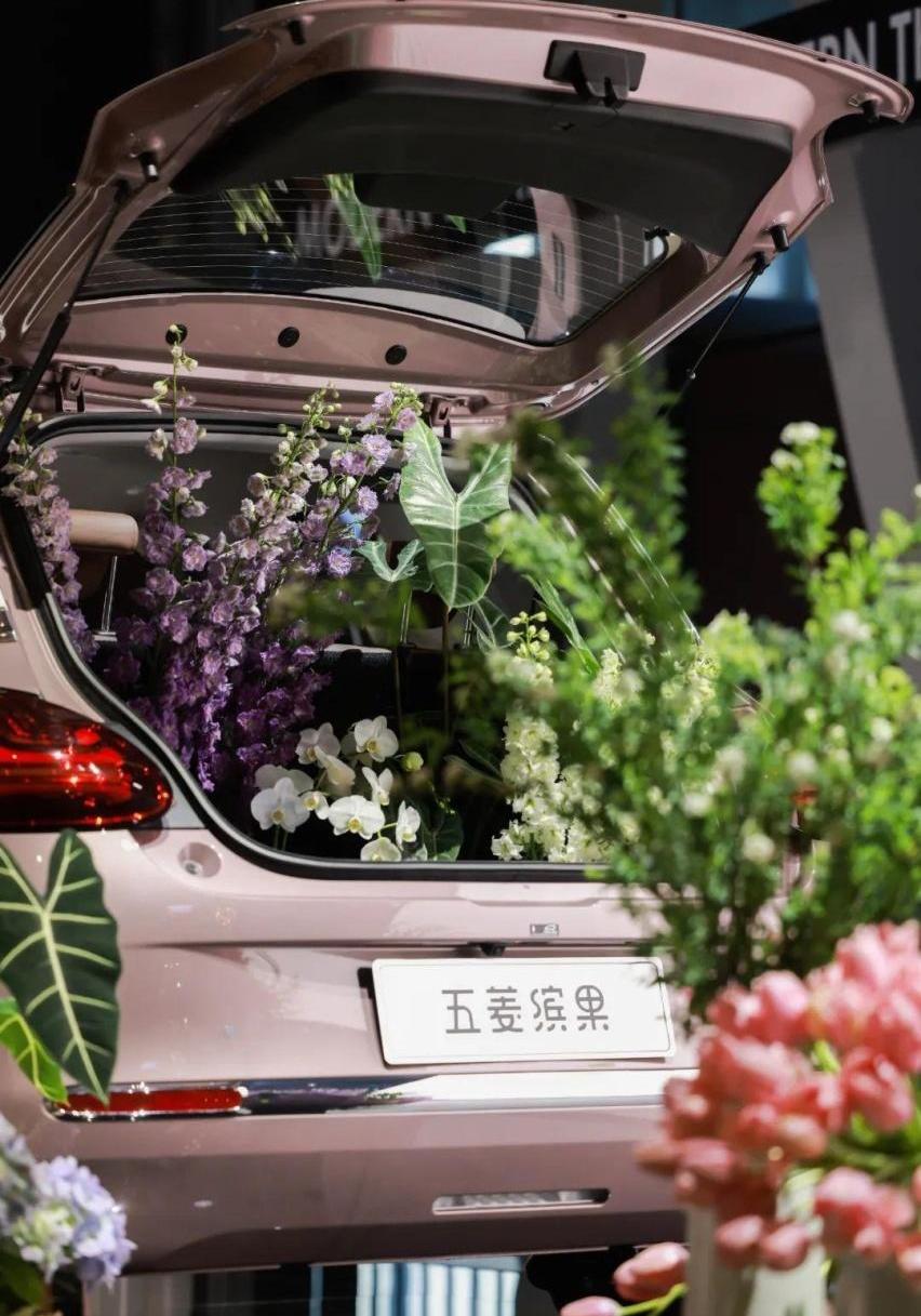 五菱缤果,理念,远程