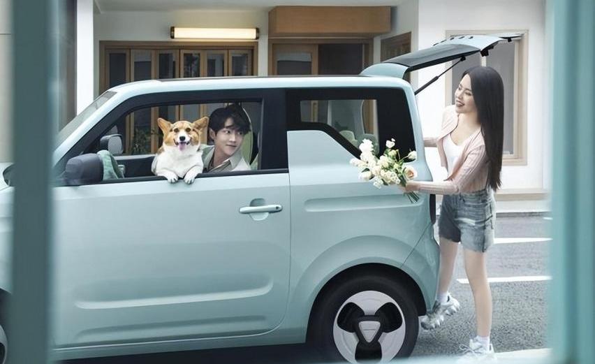 熊猫mini,远程,现代