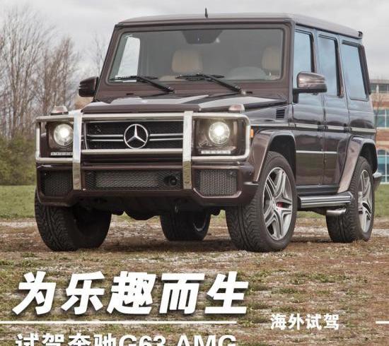 奔驰,奔驰G级,曼,现代