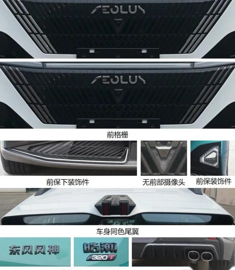 皓极,发现