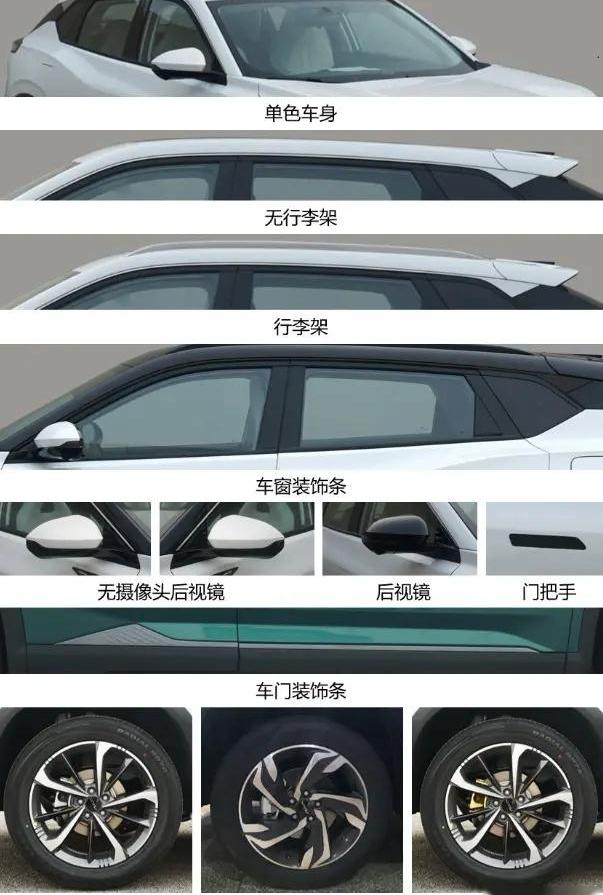 皓极,发现