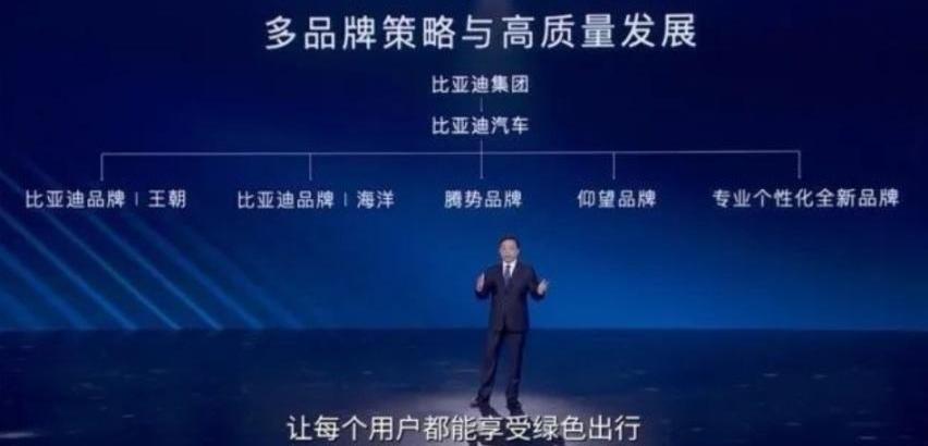 比亚迪,腾势,坦克,坦克300,仰望