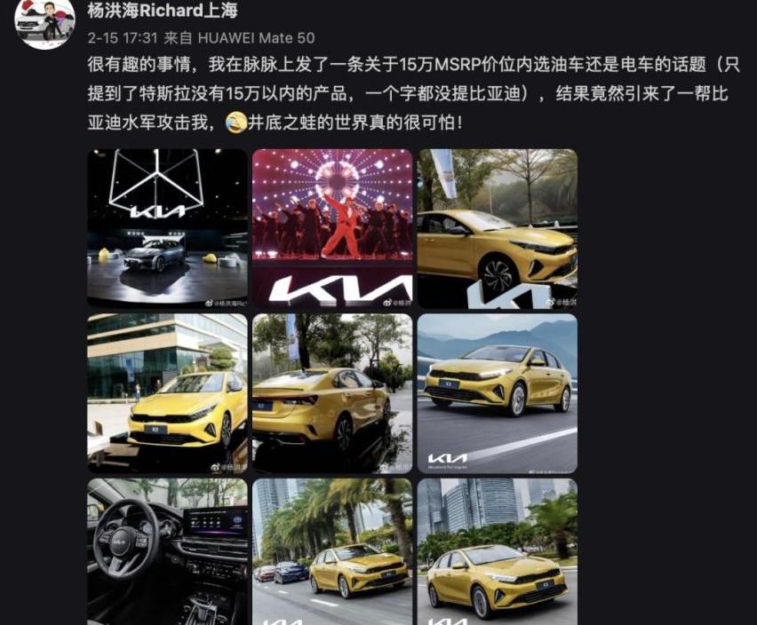 起亚,比亚迪,起亚K3,特斯拉