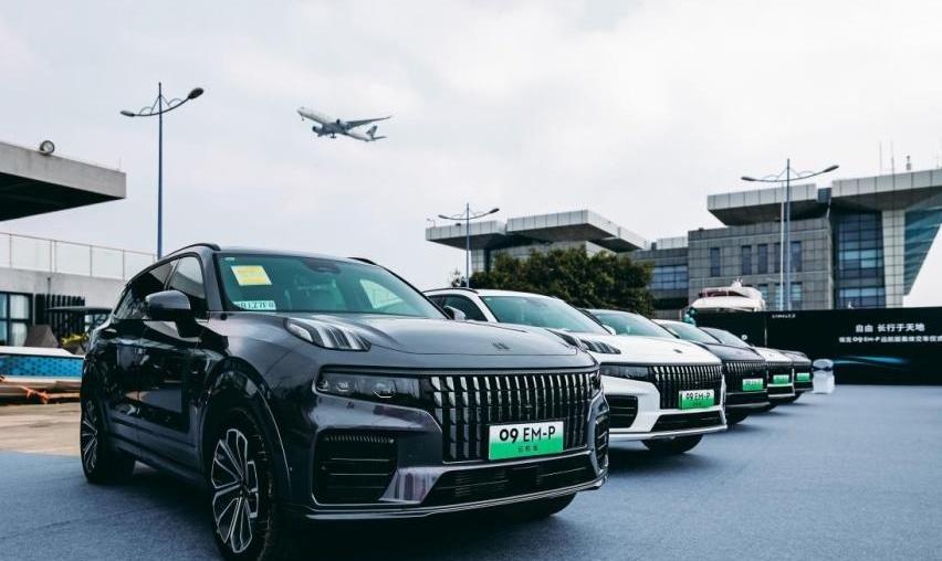特斯拉,极氪,吉利汽车,福特,福特电马