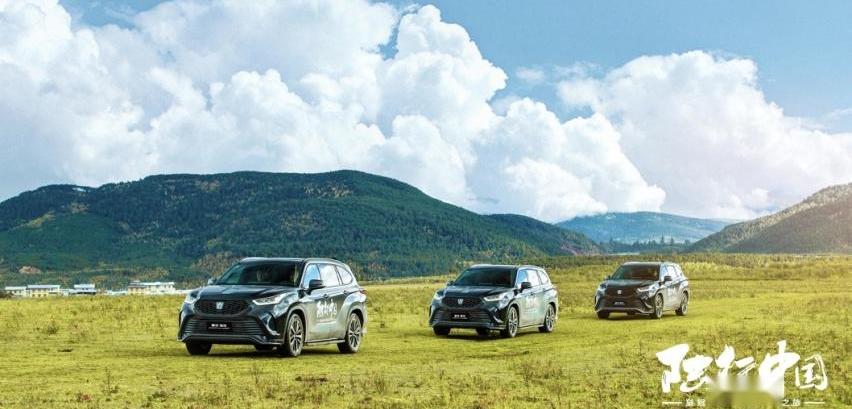 丰田,皇冠,皇冠陆放,一汽,RAV4荣放