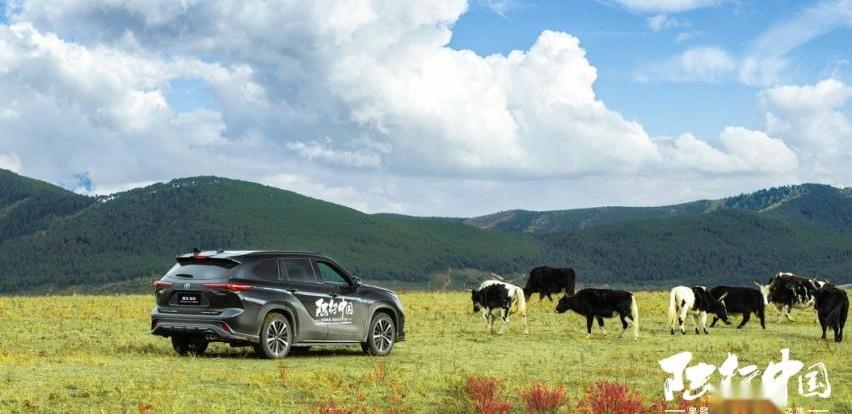 丰田,皇冠,皇冠陆放,一汽,RAV4荣放