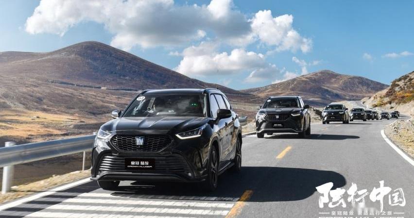 皇冠,皇冠陆放,丰田,一汽,RAV4荣放