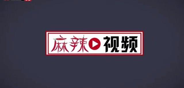 荣威,荣威iMAX8,奥德赛,途睿欧,埃尔法