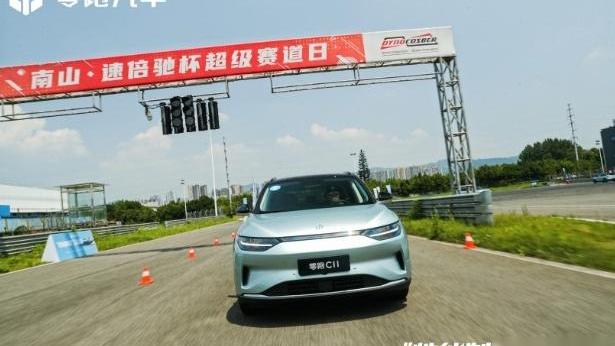 零跑汽车,特斯拉,DS,雷克萨斯,斯巴鲁