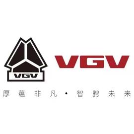 中国重汽VGV