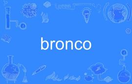 Bronco